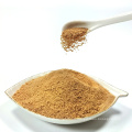 Chinese good price beef powder seasoning